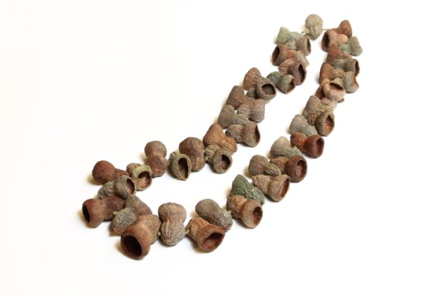 Day 19. going organic 3. Eucalyptus nuts, linen thread. © Blandine Hallé 2015