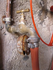 creativity runs in the family